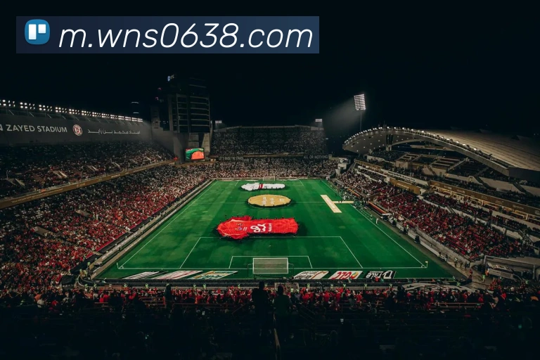 未来规划